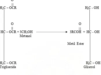 Gambar 1. Reaksi transesterifikasi minyak jarak pagar menjadi biodiesel  