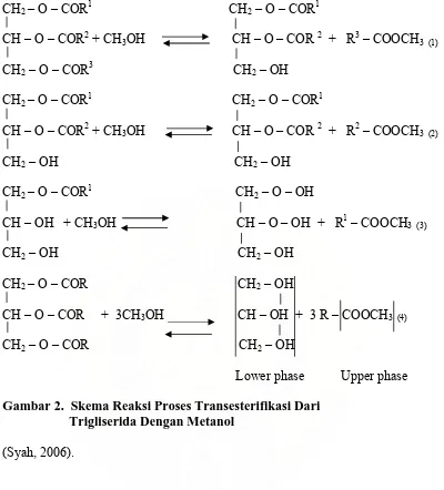 Gambar 2.  Skema Reaksi Proses Transesterifikasi Dari                             Trigliserida Dengan Metanol 