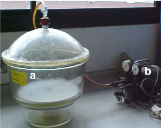 Gambar 1. Desikator (a) dengan pompa penghisap udara (b) 