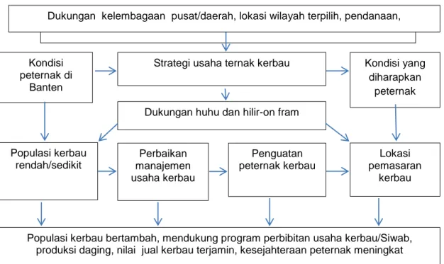 Gambar 1. Alur usaha ternak kerbau di wilayah terpilih-Banten 