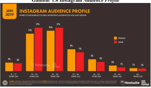 Gambar 1.4 Instagram Audience Profile 