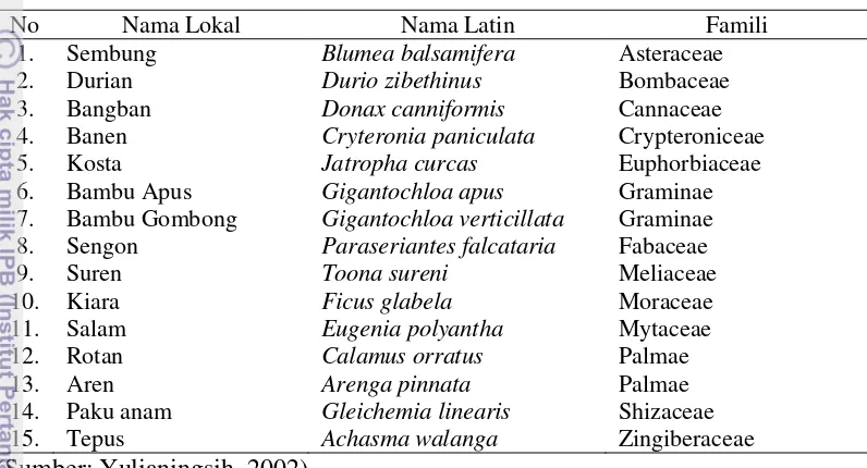 Tabel 5  Jenis vegetasi pada hutan alami yang dapat dimanfaatkan 
