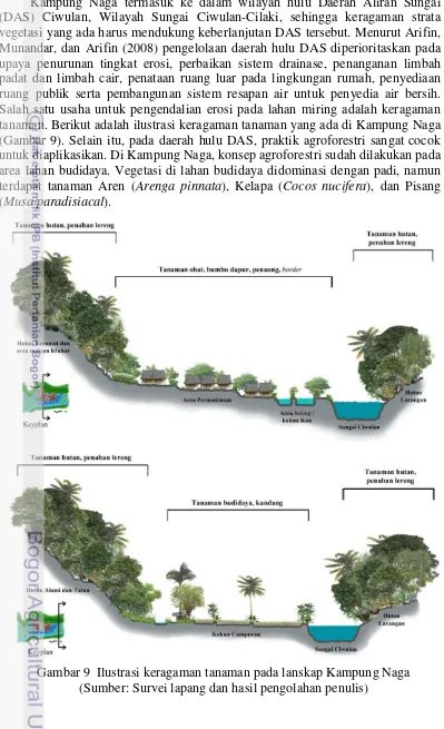 Gambar 9  Ilustrasi keragaman tanaman pada lanskap Kampung Naga 