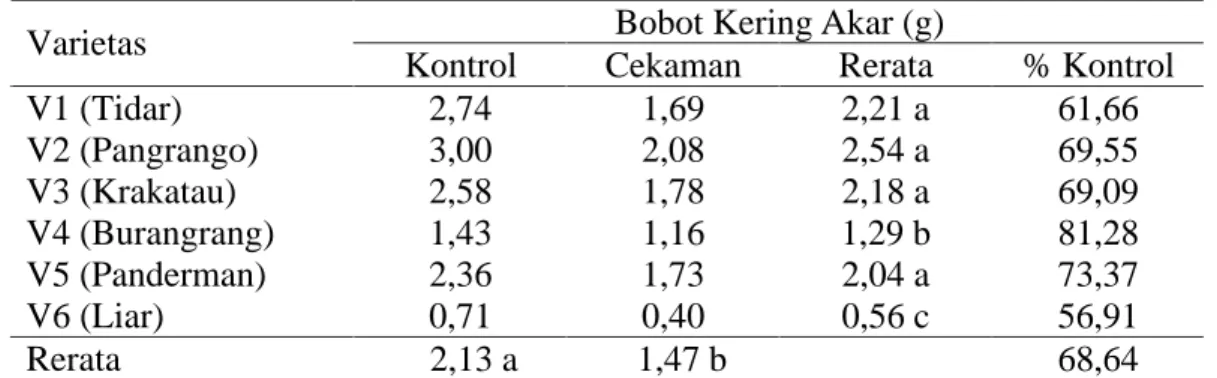 Tabel 6. Bobot kering akar pada perlakuan kontrol dan cekaman kekeringan   Bobot Kering Akar (g) 