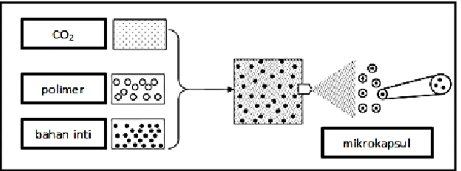 Gambar 2.5. Skema metode Rapid expansion of supercritical fluids  2.3.2   Mekanisme Pelepasan Obat dari Mikrokapsul 