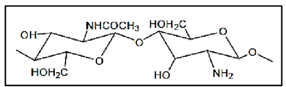 Gambar 2.7.Struktur kimia kitosan 