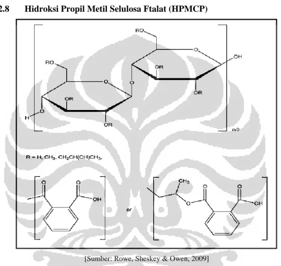 Gambar 2.10. Struktur kimia Hidroksi Propil Metil Selulosa Ftalat (HPMCP) 