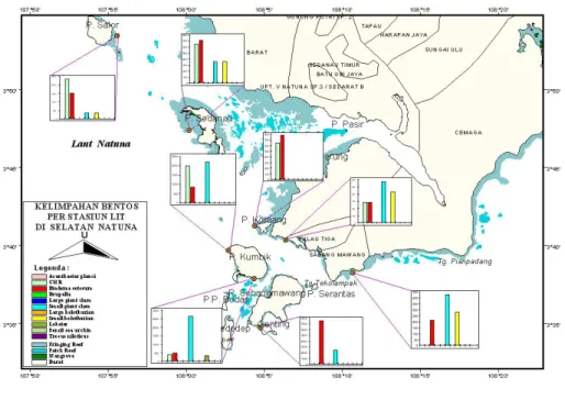 Gambar  5.  Hasil “reef check” untuk megabentos yang memiliki  nilai ekonomis penting dan sebagai indikator  kese-hatan karang pada masing-masing stasiun transek  permanen di Kepulauan Natuna