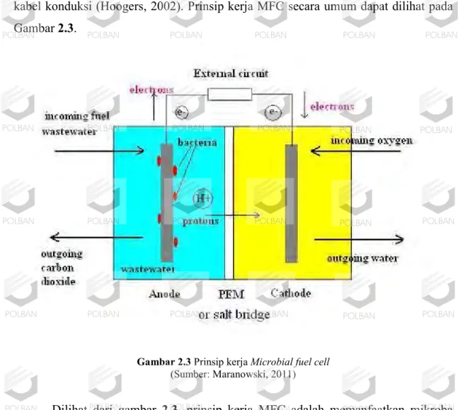Gambar 2.3 Prinsip kerja Microbial fuel cell   (Sumber: Maranowski, 2011) 