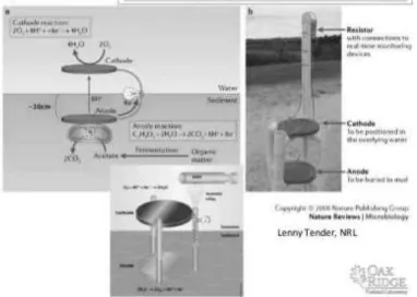 Gambar 8. Sediment Microbial Fuel Cells (SMFCs) (sumber OakRidge) 