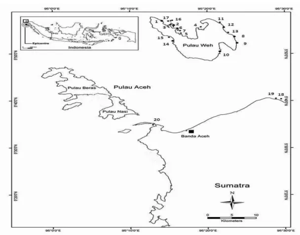 Gambar 2. Enam dari 32 spesies ikan herbivora di terumbu karang Aceh bagian  utara: searah jarum jam dari kiri atas: Acanthurus tristis, A