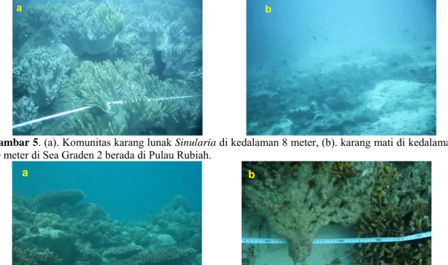 Gambar 6. Komunitas (a) karang massive dan tabulate serta (b) karang bercabang Seriatophora di  Rubiah Channel 2