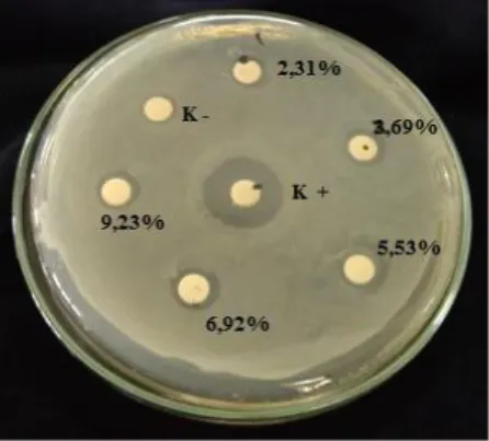 Gambar 1. Hasil Uji Minyak Atsiri Daun Jeruk Purut Terhadap Bakteri Staphylococcus aureus 