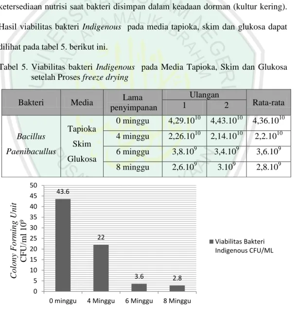 Tabel  5.  Viabilitas  bakteri  Indigenous    pada  Media  Tapioka,  Skim  dan  Glukosa  setelah Proses freeze drying 
