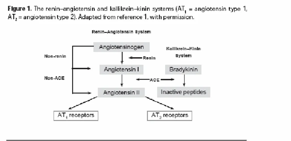 Gambar 6. Sistem renin-angiotensin dan system kallikrein-kinin    