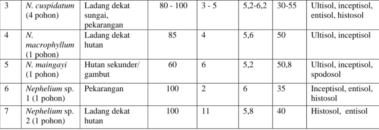 Tabel 3.  Habitat jenis-jenis  Artocarpus spp. di Kalimantan Tengah  No Jenis  dan  jumlah pohon  ekosistem Keting-gian  (m dpl.)  Kemiringan tanah  (°)  pH  tanah  RH  tanah  (%)  Ordo tanah  1  A