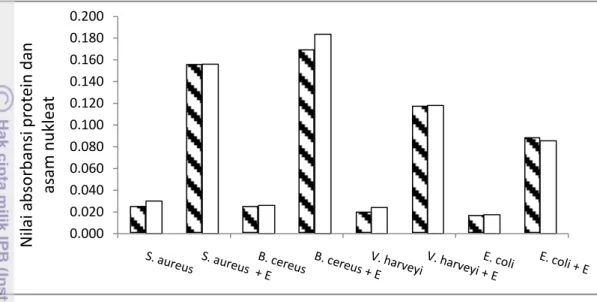 Gambar 13   Pengaruh ekstrak C. gracilis terhadap kebocoran asam nukleat   (      = OD 260 nm) dan kebocoran protein sel  (     = OD 280 nm)   Kebocoran  sel  bakteri  terjadi  diduga  karena  rusaknya  ikatan  hidrofobik  komponen penyusun membran