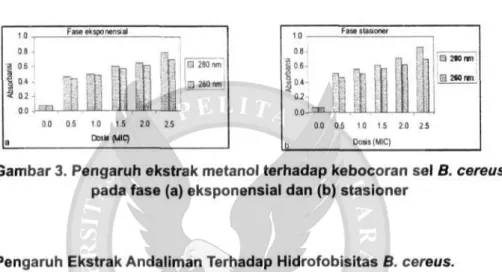Gambar 3. Pengaruh ekstrak metanol terhadap kebocoran sel 8. cereus  pada fase (a) eksponensial dan (b) stasioner 