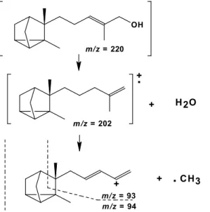 Gambar 2.  Analisis fragmentasi senyawa -santalol  Analisis Senyawa Kimia dengan Kromatografi Gas-Selektif Massa (KG-SM) 