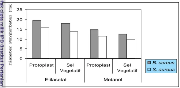 Gambar 7.1 Pengaruh Ekstrak Etilasetat dan Metanol terhadap Protoplast dan Sel  Vegetatif Bakteri B