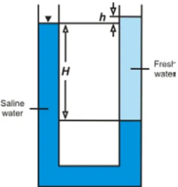 Gambar III.9   Keseimbangan  hidrostatik  antara air tawar dan air asin dalam tabung-U  berdasarkan prinsip Ghyben-Herzberg (Todd, 1980) 