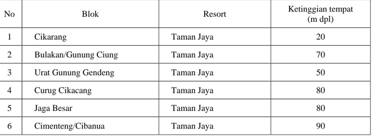 Tabel 1. Lokasi transek pengamatan pulai di kawasan hutan TNUK, Desa Ujung Jaya, Kecamatan  Sumur, Kabupaten Pandeglang 