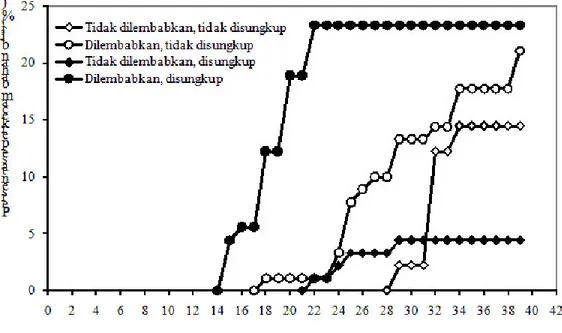 Gambar 2. Perkecambahan biji Alstonia scholaris pada perlakuan pelembaban (humidifikasi) dan  penyungkupan 