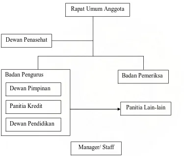 Gambar 2.1 Struktur Organisasi CU Manager/ Staff  