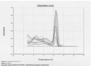 Gambar 2.  Kurva standar PCR Real Time