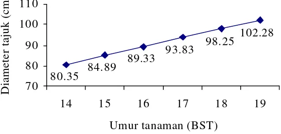 Gambar 3. Grafik Rata-rata Tinggi Tanaman Nanas ( Ananas comosus L. Merr.) Cv. Queen Hasil Perbanyakan In Vitro Subkultur III di Lapang pada 14-19 Bulan Setelah Tanam (BST) 