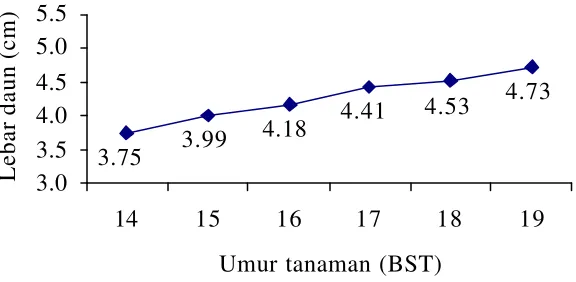 Tabel 2. Rata-rata Panjang Daun Nanas (Ananas comosus L. Merr.) Cv. Queen Hasil Perbanyakan In Vitro Subkultur III di Lapang pada 14-19 Bulan Setelah Tanam (BST) 