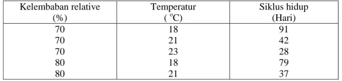 Tabel  1.  Pengaruh  kelembaban  udara  dan  temperatur  terhadap  siklus  hidup  serangga  Sitophilus sp   Kelembaban relative  (%)  Temperatur ( oC)  Siklus hidup                 (Hari)  70  70  70  80  80  18 21 23 18 21  91 42 28 79 37  Sumber: Yos Sut