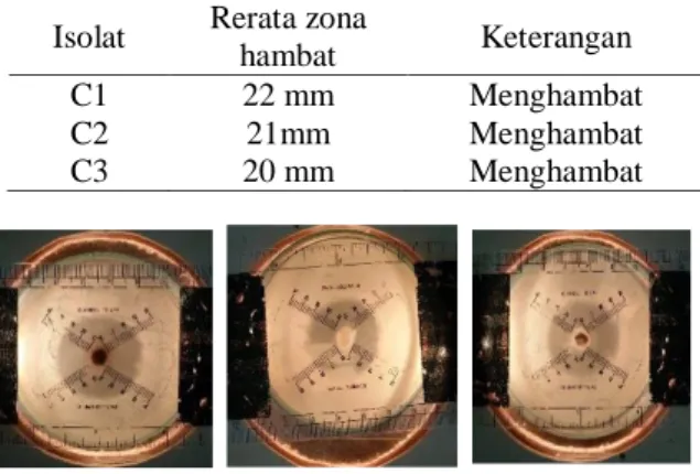 Gambar 1. Hasil Identifikasi Jamur  Endofit dari Daun Cincau (Cyclea barbata 