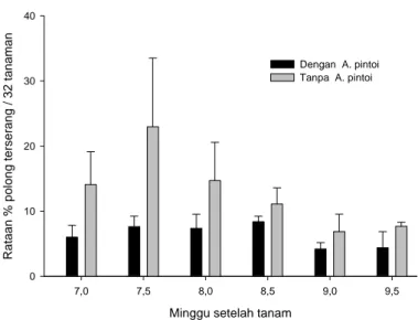 Gambar  6. Perbandingan persentase bunga terserang ulat M. vitrata  pada petak perlakuan dan  kontrol 