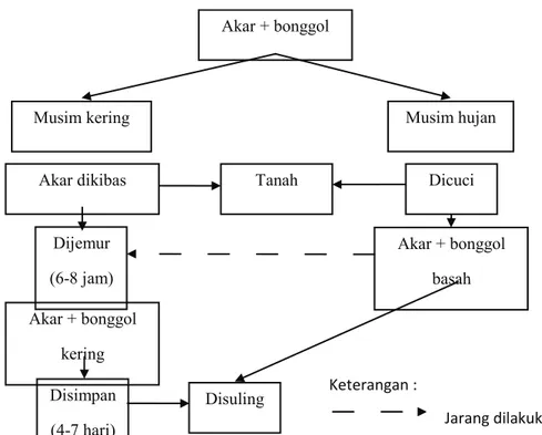 Gambar 2. Alur penanganan akar wangi di Kecamatan Samarang, Garut (Mulyono et al.,  23 )   Figure 2