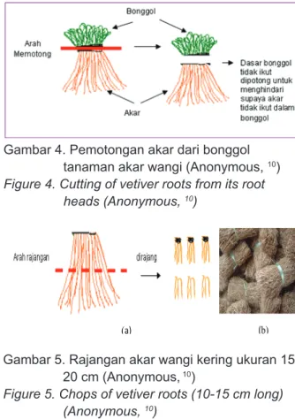 Gambar 5. Rajangan akar wangi kering ukuran 15- 15-20 cm (Anonymous,  10 )