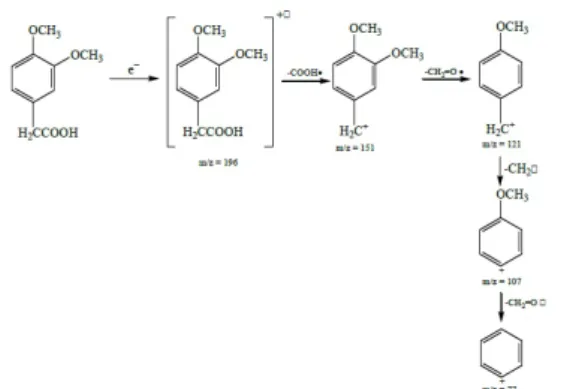 Gambar 6. Dugaan fragmentasi hasil oksidasi lanjut senyawa 3-(3,4-dimetoksi  fenil)-1-propanol