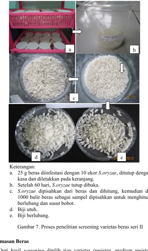 Gambar 7. Proses penelitian screening varietas beras seri II  Pengemasan Beras 