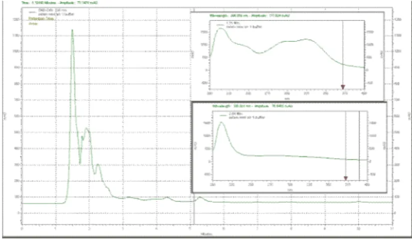 Gambar 4.20 Profil Kromatogram Ekstrak Air Daun Salam PT A dengan  Fase Gerak Asetonitril : Dapar Fosfat Nitrat pH 5,5 (70:30, % v/v) 