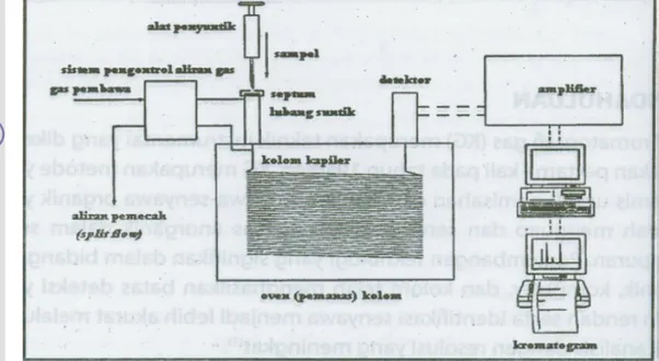 Gambar 6. Bagan Alat Kromatografi Gas (Rohman, 2009) 