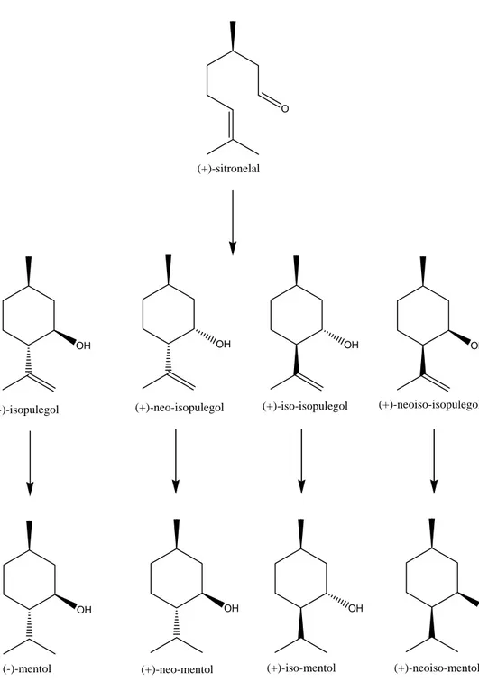 Gambar 3.1 Siklisasi dan hidrogenasi (+)-sitronelal 