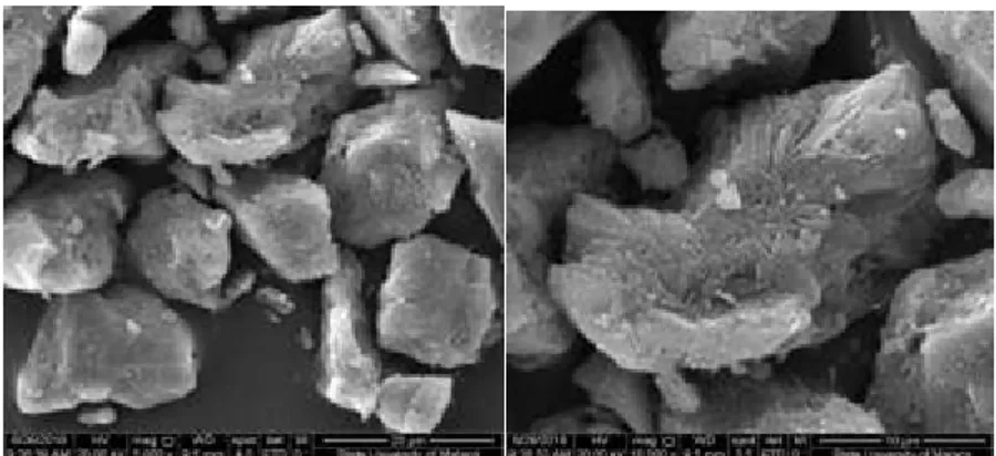Gambar 2. Foto mikro sampel H/ZA (a) perbesaran 5.000x (b) perbesaran 10.000x Penentuan jumlah situs asam katalis H/ZA dyang diperoleh dengan amonia (total) sebesar  0,809  mol/gram  sedangkan  jumlah  situs  asam  dengan  piridin  (permukaan)  sebesar  0,