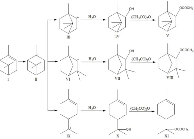 Gambar 5. Reaksi esterifikasi α-pinena (I) α-pinena (II) ion karbonium (III) ion  karbonium (IV) borneol (V) bornil asetat (VI) ion karbonium (VII) fensil  alkohol (VIII) fensil asetat (IX) ion karbonium (X) α-terpineol (XI) α-terpenil 