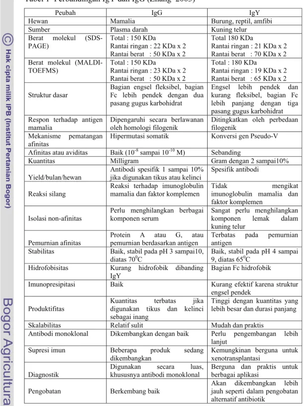 Tabel 1  Perbandingan IgY dan IgG (Zhang  2003) 