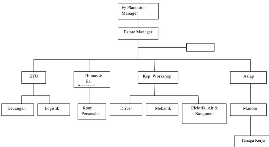 Gambar 2. Struktur Organisasi PT. Budiduta Agromakmur 