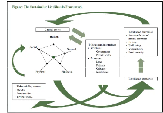 Gambar 4  Kerangka Sustainable Livelihood Approach (SLA). 