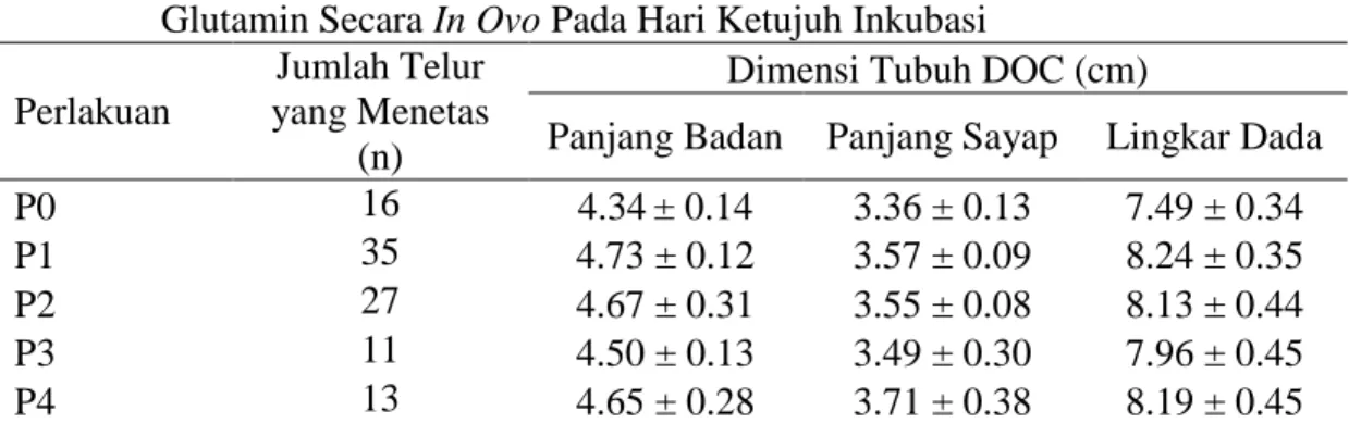 Tabel  4  Dimensi  Tubuh  DOC  Ayam  Kampung  Hasil  Pemberian  Asam  Amino  Glutamin Secara In Ovo Pada Hari Ketujuh Inkubasi 