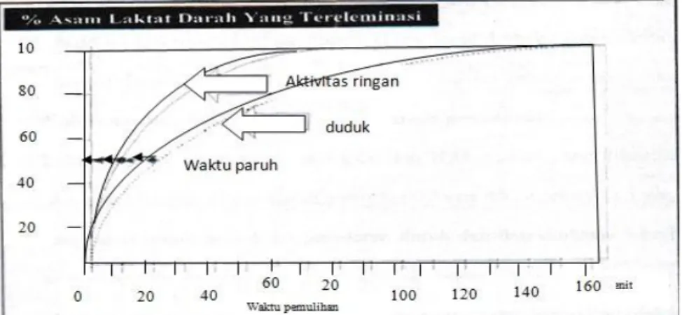 Gambar  2.10  Waktu  paruh  eliminasi  asam  laktat  antara  pemulihan  yang  dilakukan  dengan  aktivitas  ringan  dengan  tanpa  aktivitas  (istirahat  pasif)  (Patelongi , 2000)