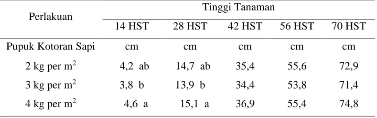 Tabel 1. Rerata tinggi tanaman krisan potong 