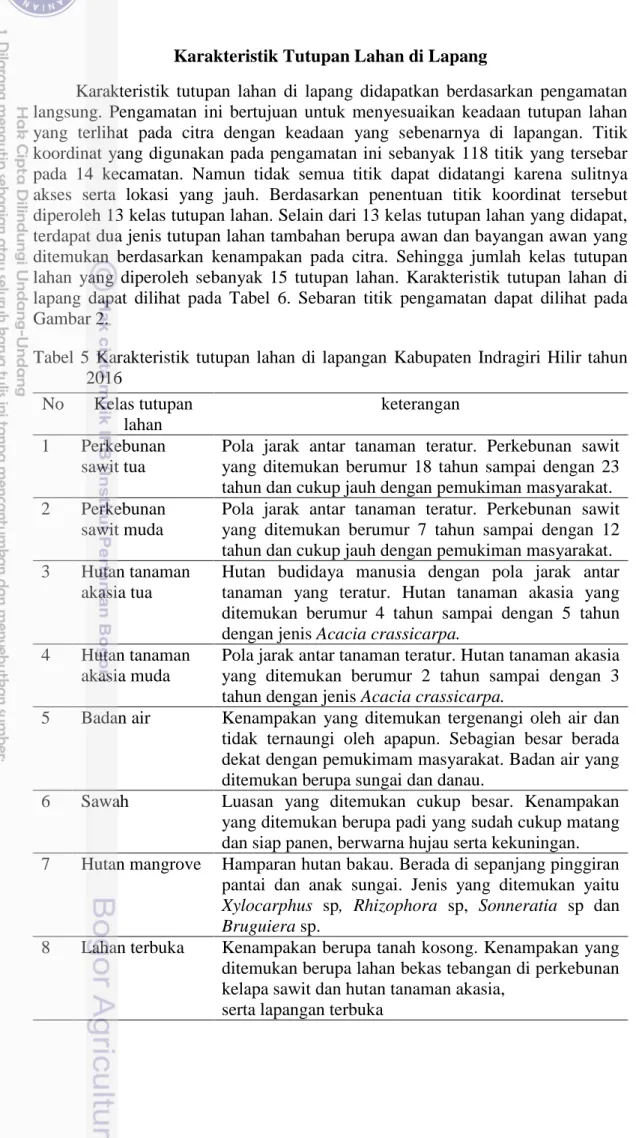 Tabel  5  Karakteristik  tutupan  lahan  di  lapangan  Kabupaten  Indragiri  Hilir  tahun  2016  No  Kelas tutupan  lahan  keterangan  1  Perkebunan  sawit tua 